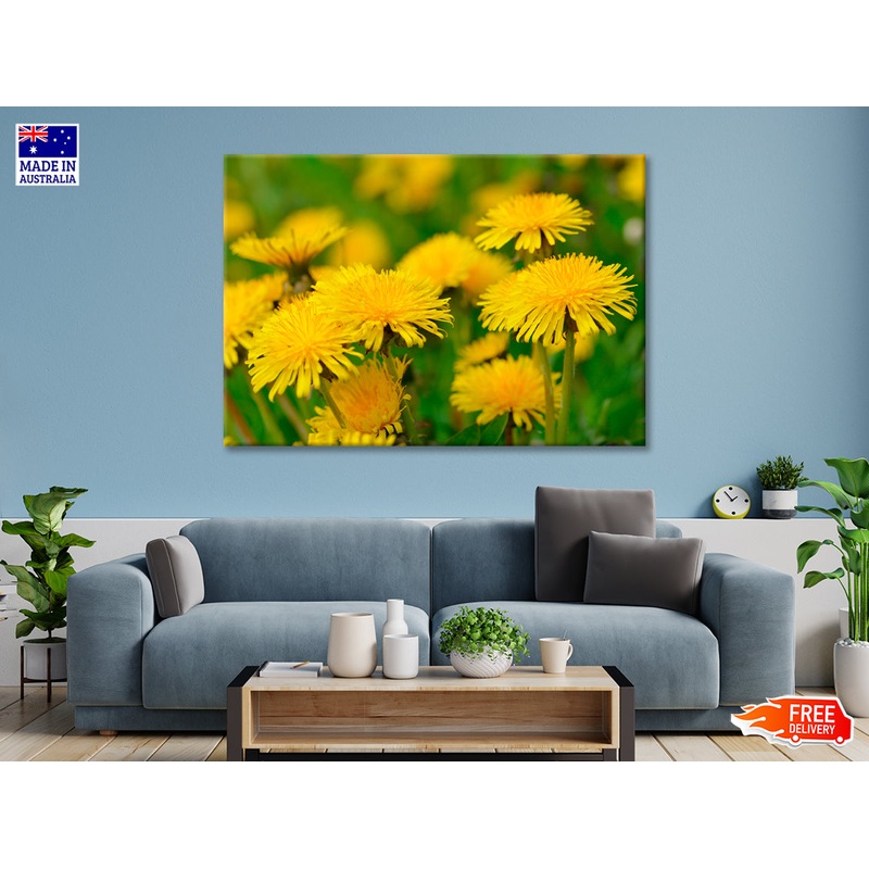 A Group of Yellow Flowers Close-Up View Print 100% Australian Made