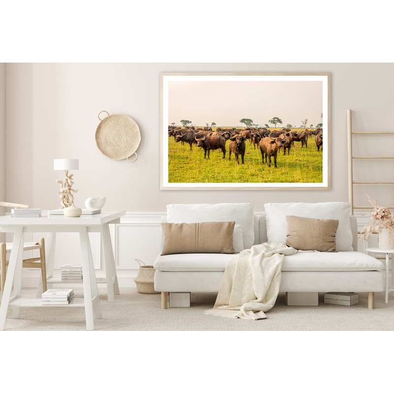 A Herd of Buffalo Grazing In a Field in Uganda Home Decor Premium Quality Poster Print Choose Your Sizes