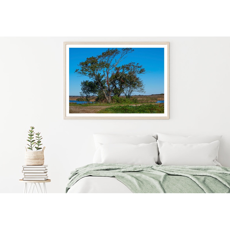 A Tree Standing In a Field on an Autumn Day Home Decor Premium Quality Poster Print Choose Your Sizes