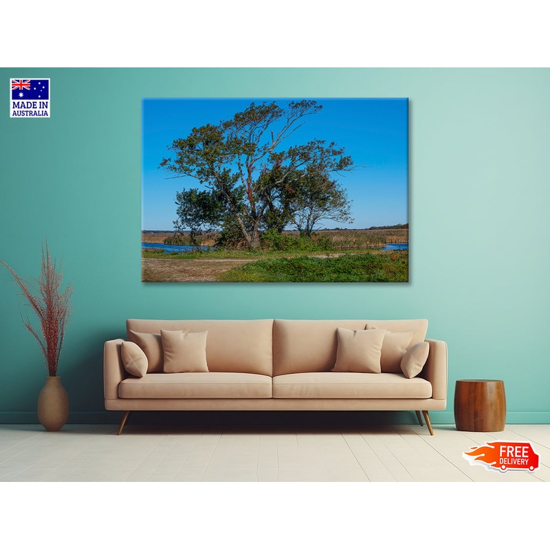 A Tree Standing In a Field on an Autumn Day Print 100% Australian Made