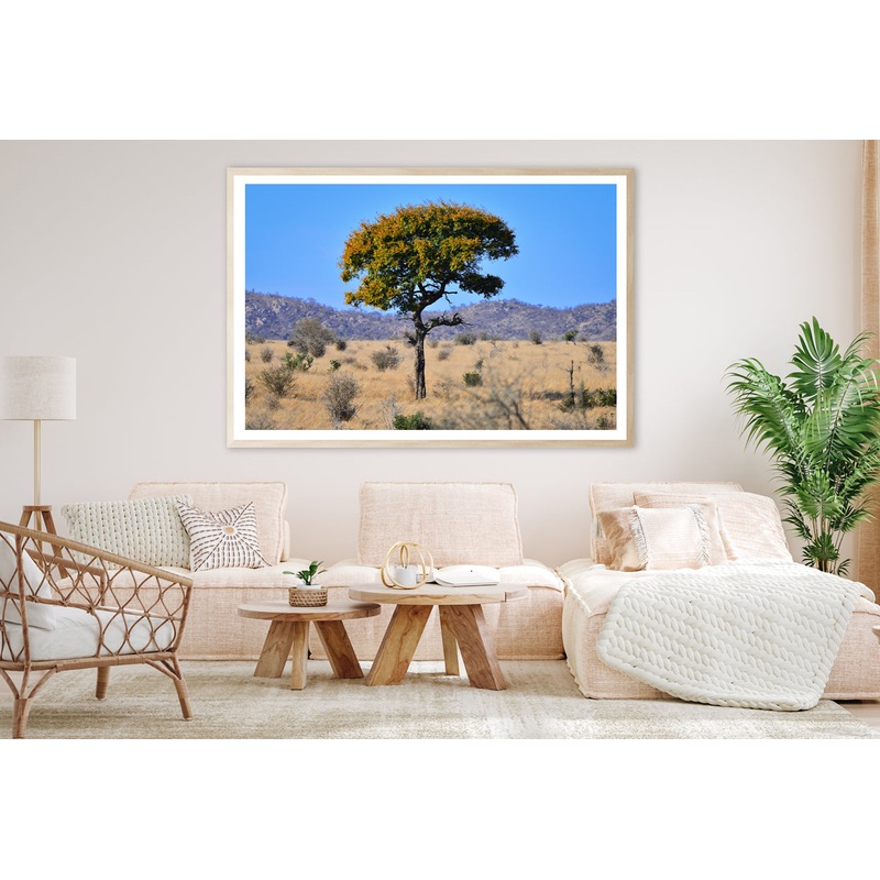 A Tree Standing In the Grasslands in South Africa Home Decor Premium Quality Poster Print Choose Your Sizes