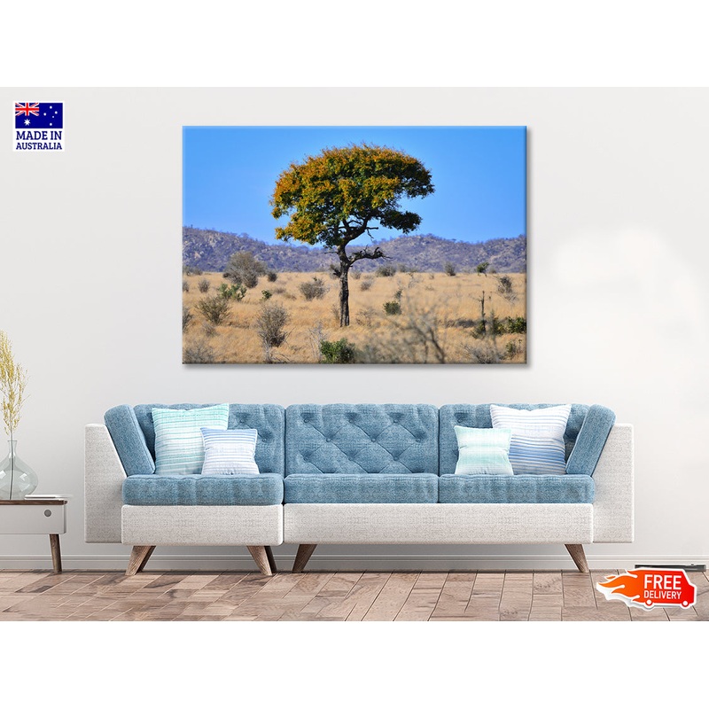 A Tree Standing In the Grasslands in South Africa Print 100% Australian Made