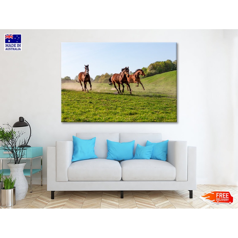 Three Horses at Full Gallop View Print 100% Australian Made