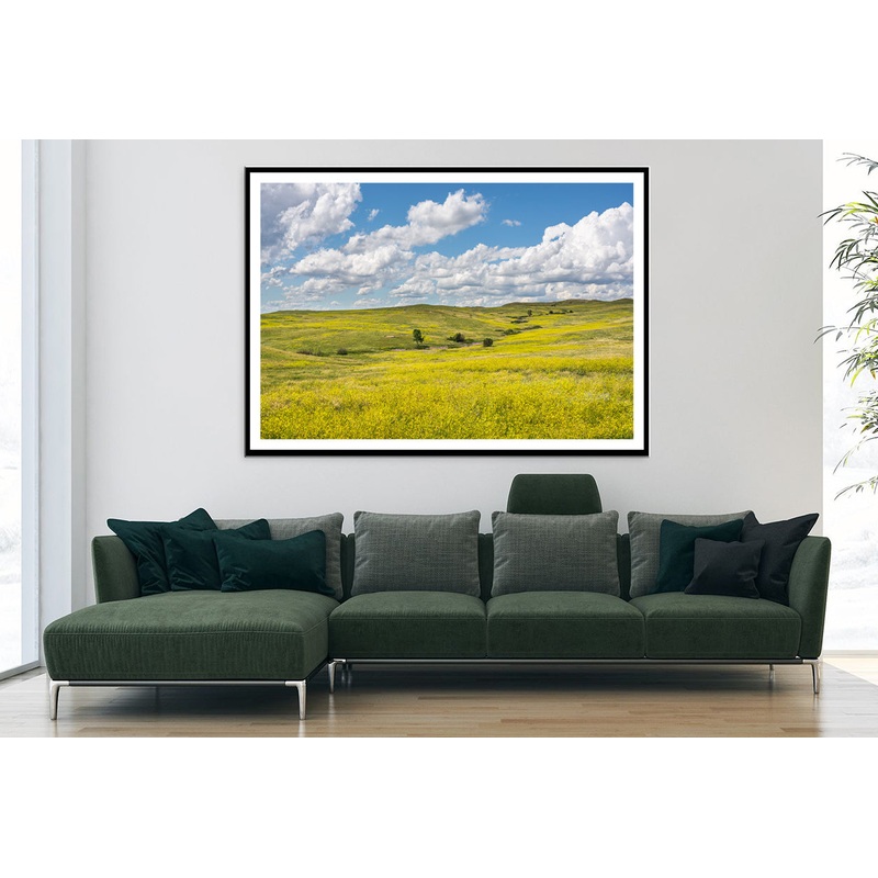 View of a Field Of Yellow Flowers under a Cloudy Sky Home Decor Premium Quality Poster Print Choose Your Sizes