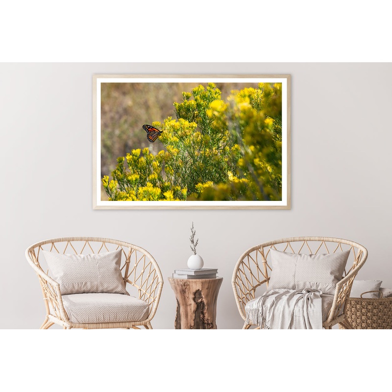 View of a Monarch Butterfly Resting On a Plant Home Decor Premium Quality Poster Print Choose Your Sizes