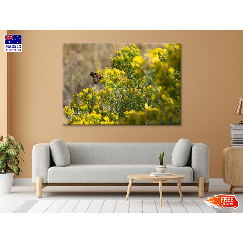 View of a Monarch Butterfly Resting On a Plant Print 100% Australian Made