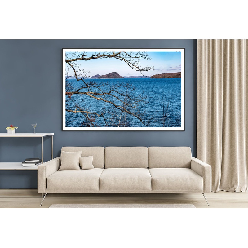 View of a Tree with a Lake & Mountains Home Decor Premium Quality Poster Print Choose Your Sizes