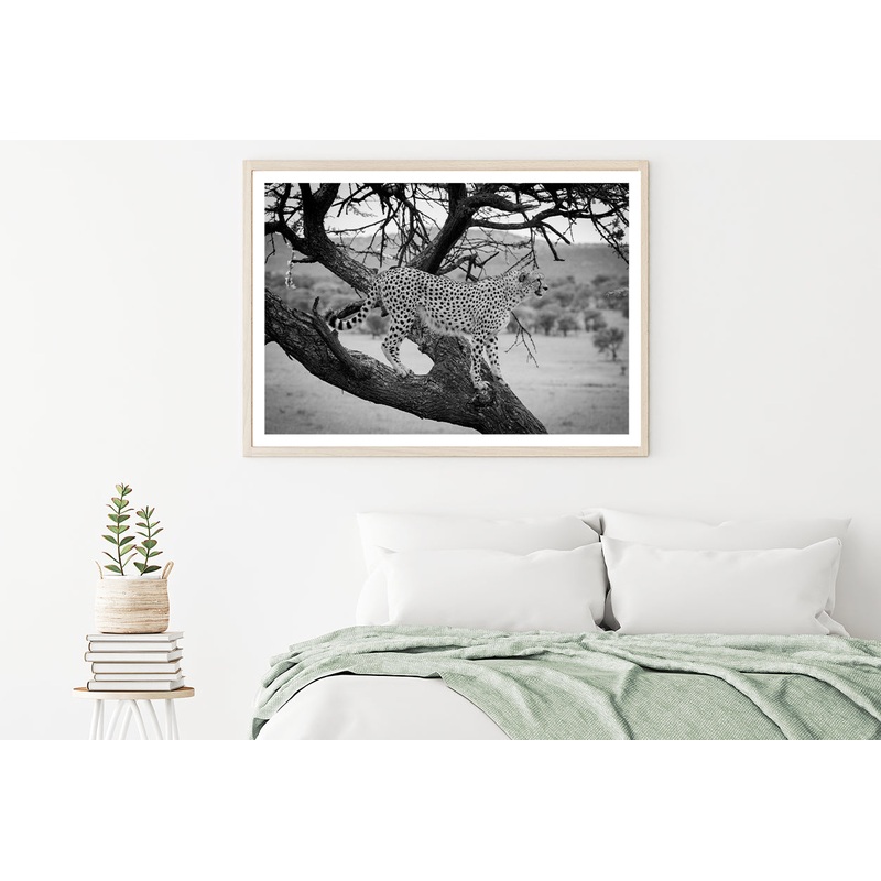 View of Cheetah Stands in Tree in Grassland Home Decor Premium Quality Poster Print Choose Your Sizes