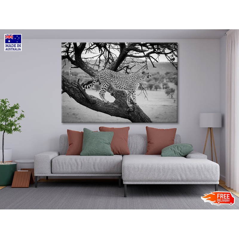 View of Cheetah Stands in Tree in Grassland Print 100% Australian Made