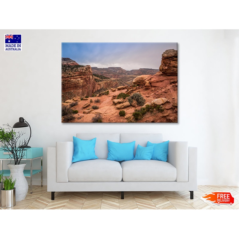 View of Rocks and Bushes with Mountains Print 100% Australian Made