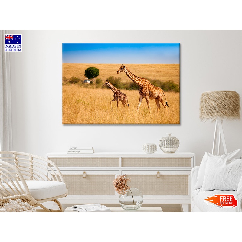 View of Two Giraffes and Safari Car in Kenya Print 100% Australian Made