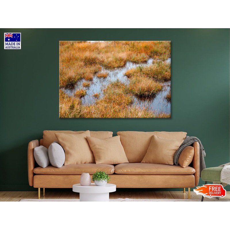 Waterlogged Grassland in the summer Print 100% Australian Made