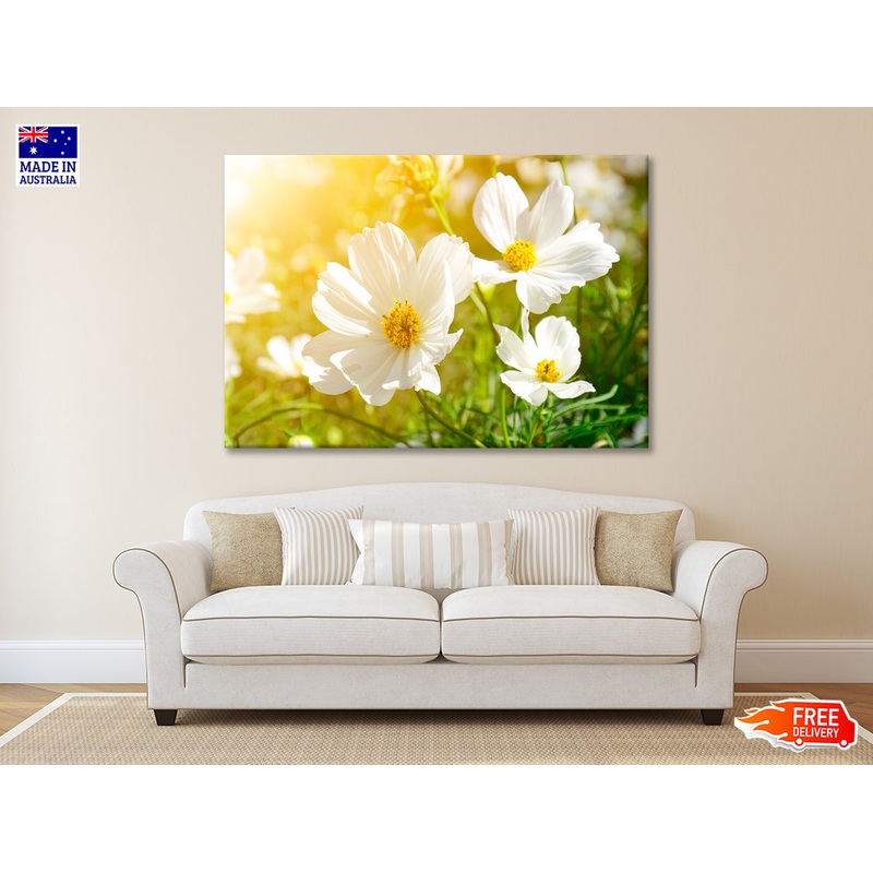 White Flowers Close-Up View In Garden Print 100% Australian Made
