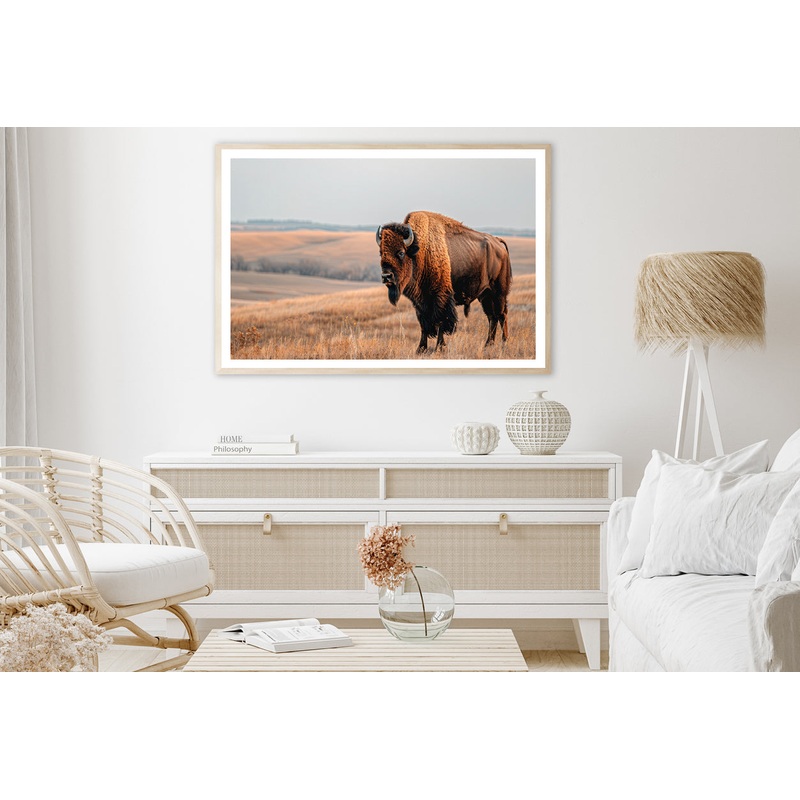 A Bison Standing In a Grassy Field View Home Decor Premium Quality Poster Print Choose Your Sizes