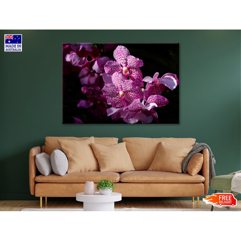 A Close-Up Photo Of Purple Orchid Flowers Print 100% Australian Made