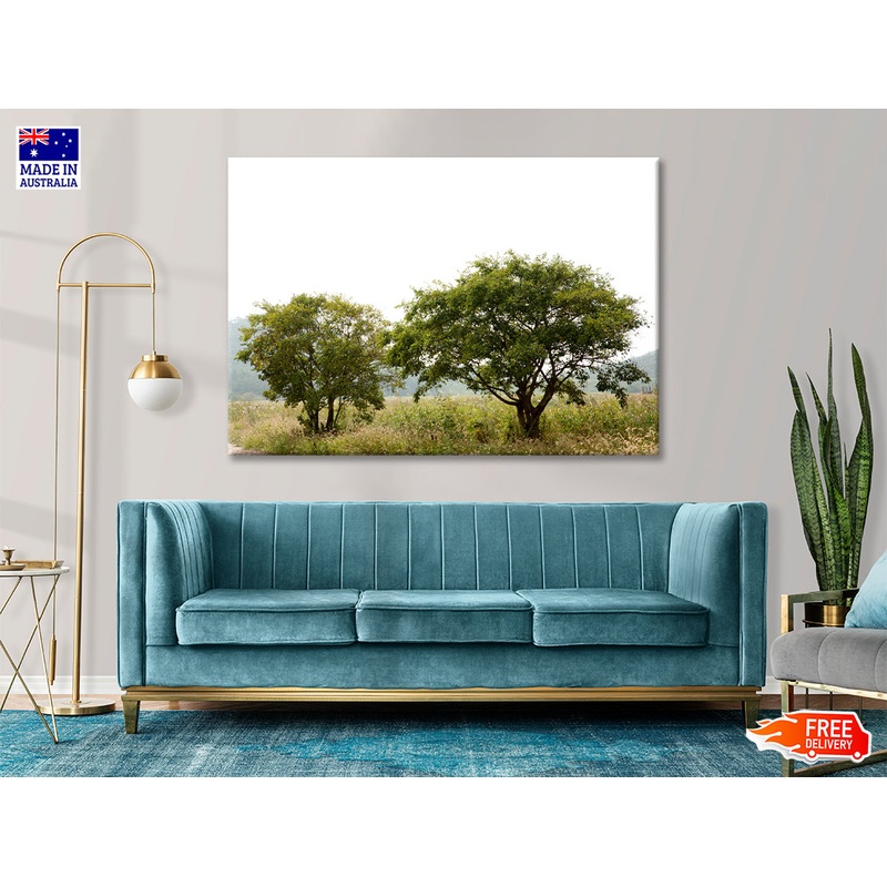 A Couple of Trees in the Grasslands under Sky Print 100% Australian Made