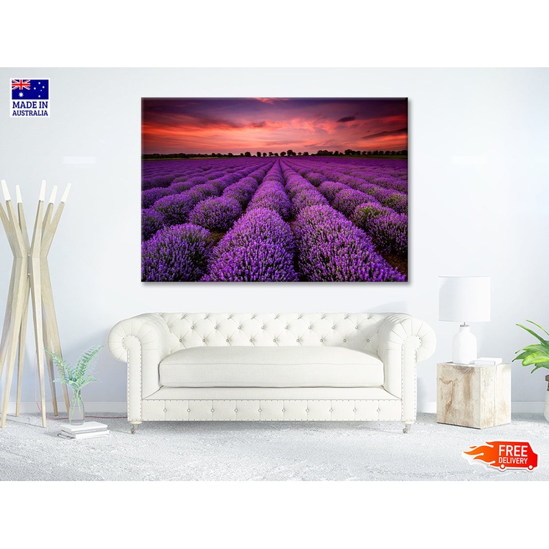 A Field Of Purple Flowers under a Sky with Clouds Print 100% Australian Made