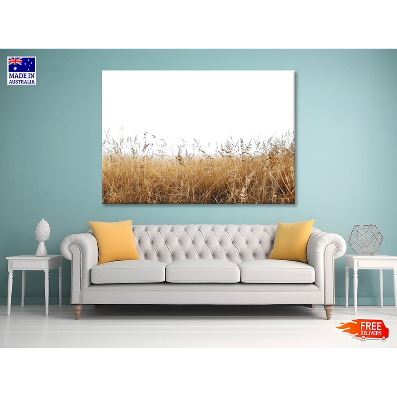 A Field Of Tall Grass under a Sky in winter Print 100% Australian Made