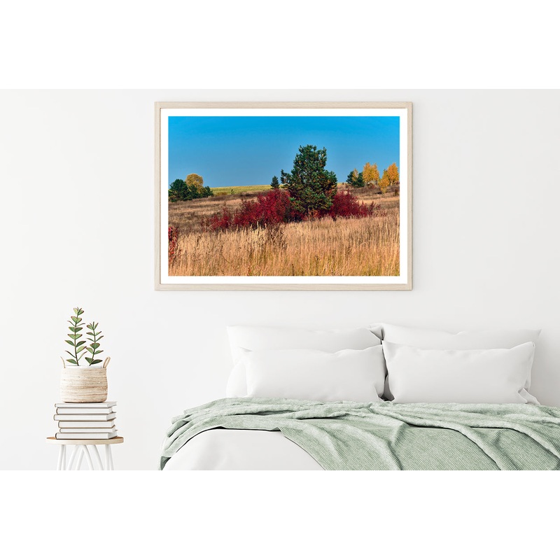 A Field Of Tall Grass With Trees an Autumn Vibe Home Decor Premium Quality Poster Print Choose Your Sizes