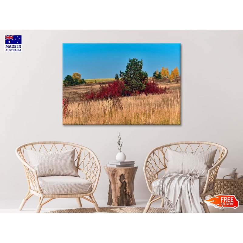 A Field Of Tall Grass With Trees an Autumn Vibe Print 100% Australian Made