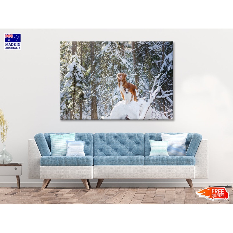 A Fox Standing On the Snow in a Winter Forest Print 100% Australian Made