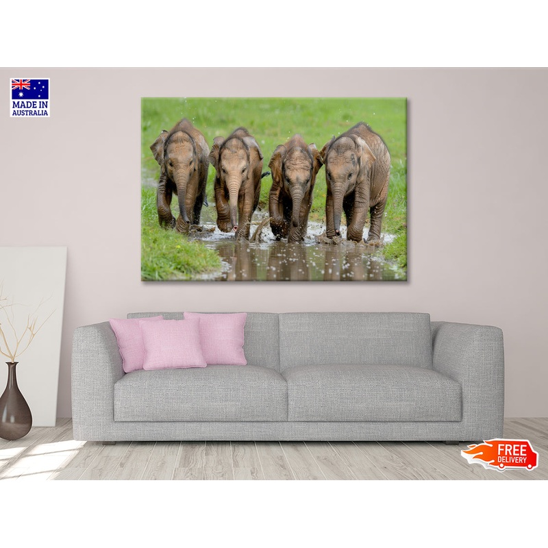 A Group of Elephants Peacefully Grazing Print 100% Australian Made