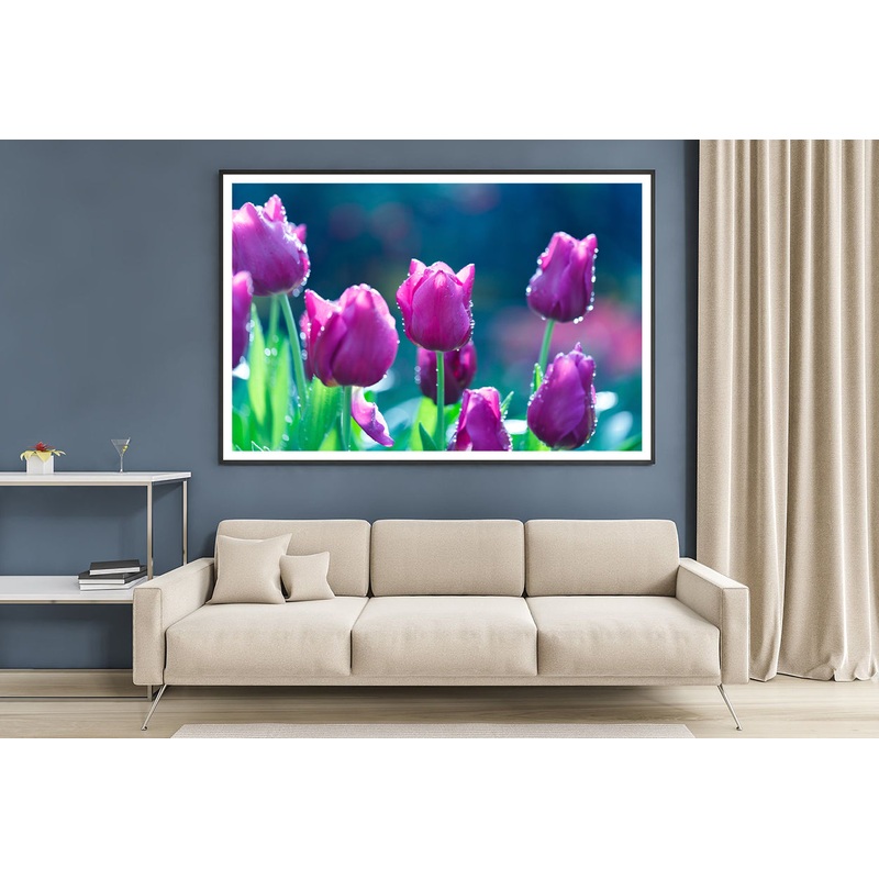A Group of Lady Tulip Flowers Blooming Home Decor Premium Quality Poster Print Choose Your Sizes