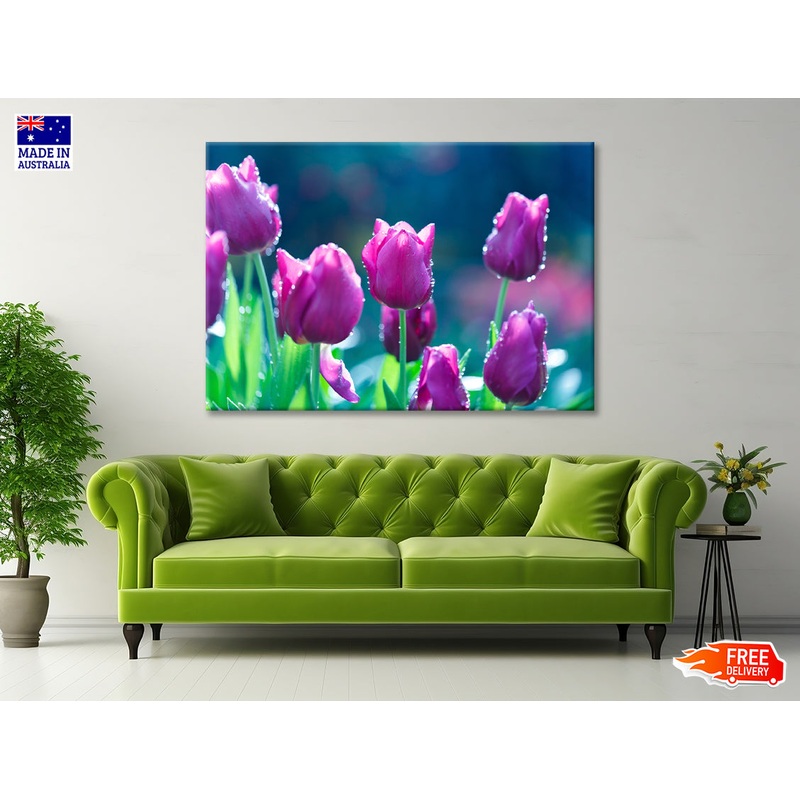 A Group of Lady Tulip Flowers Blooming Print 100% Australian Made