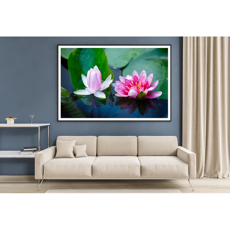 A Group of Pink Flowers Blooming On a Lily Pad Home Decor Premium Quality Poster Print Choose Your Sizes
