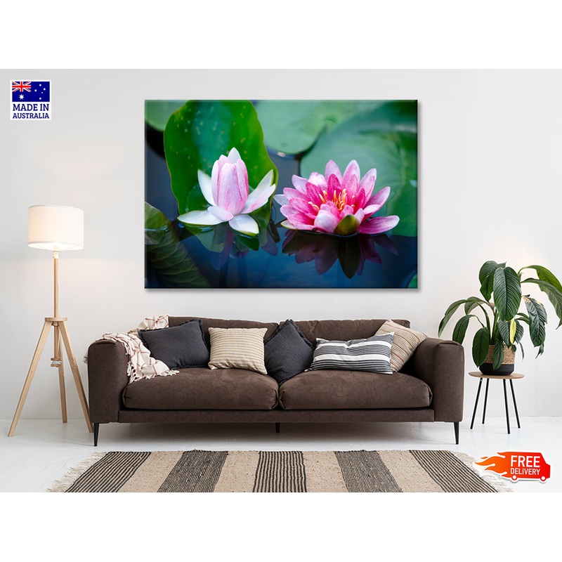 A Group of Pink Flowers Blooming On a Lily Pad Print 100% Australian Made