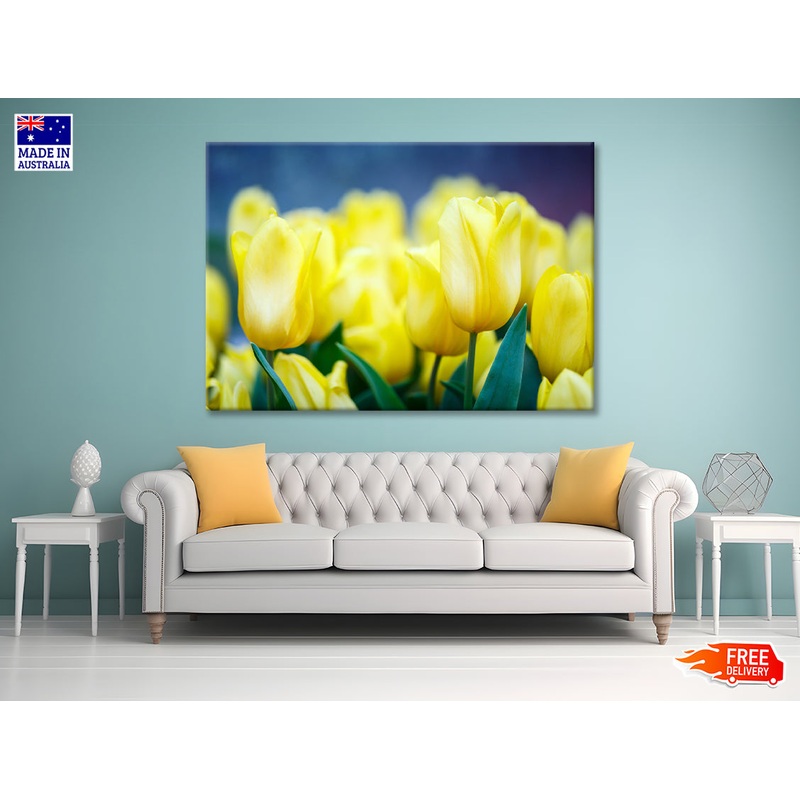 A Group of Yellow Flowers Known As Lady Tulips Print 100% Australian Made