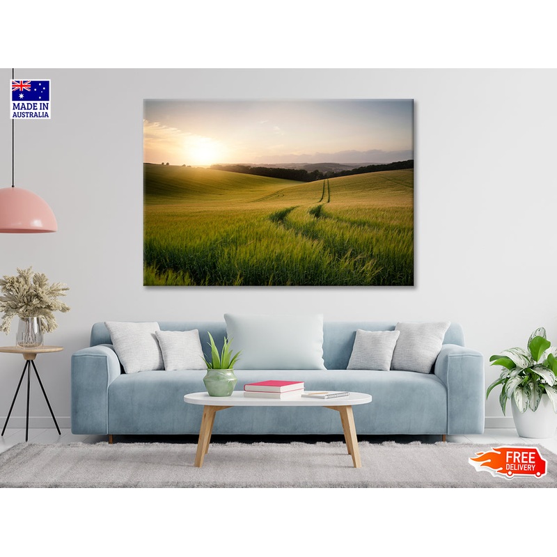 View of a Grassy Field with a Sun, Sky & Plants Print 100% Australian Made
