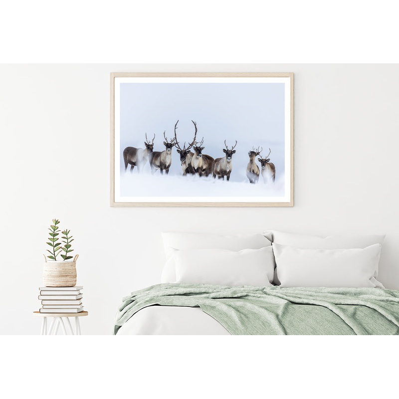 View of Herd of Caribou in the Snow Home Decor Premium Quality Poster Print Choose Your Sizes