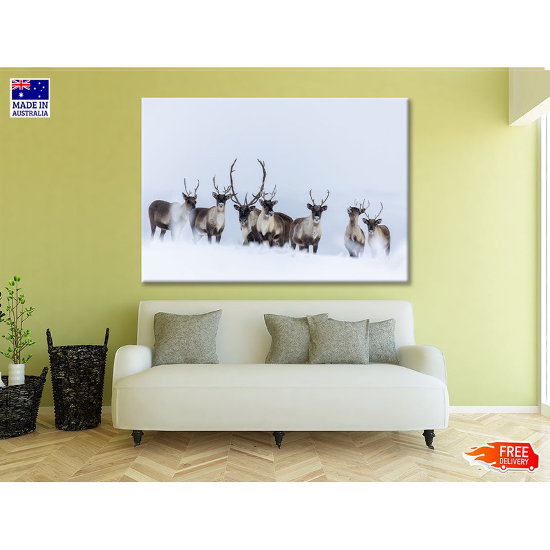 View of Herd of Caribou in the Snow Print 100% Australian Made