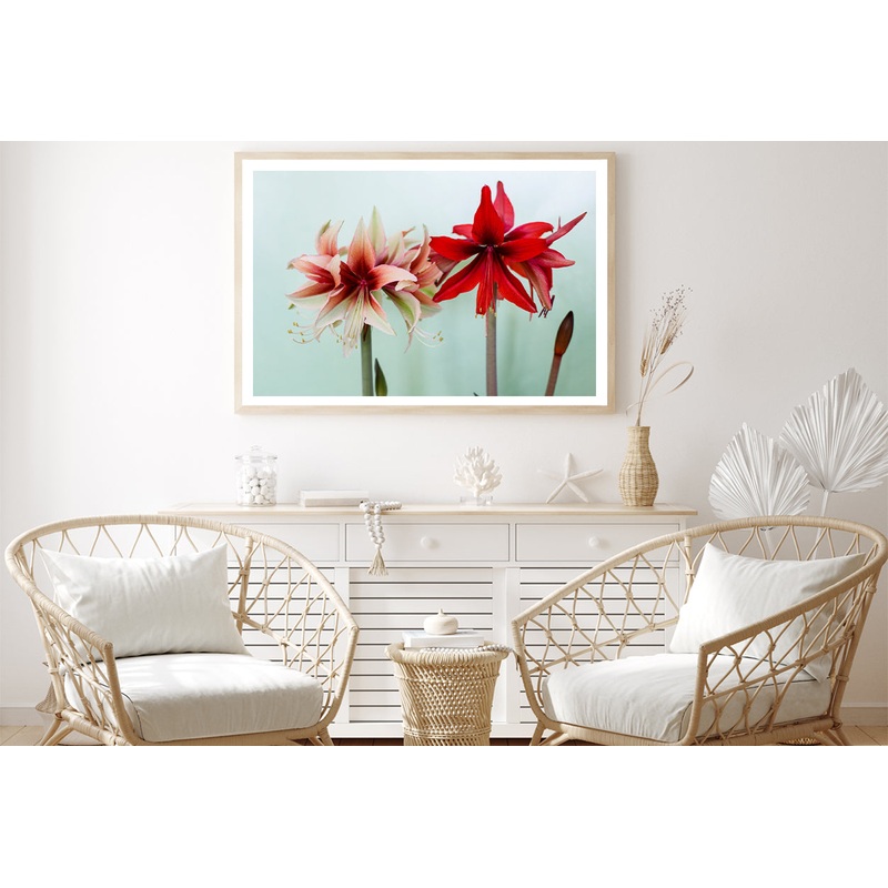 A Group of Red Lily Flowers Home Decor Premium Quality Poster Print Choose Your Sizes