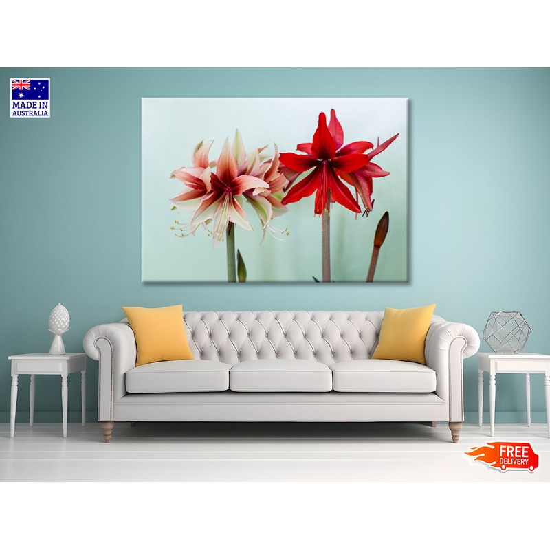 A Group of Red Lily Flowers Print 100% Australian Made