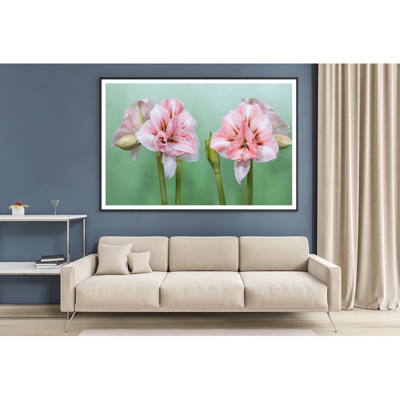 View of a Group of Pink Flowers Home Decor Premium Quality Poster Print Choose Your Sizes