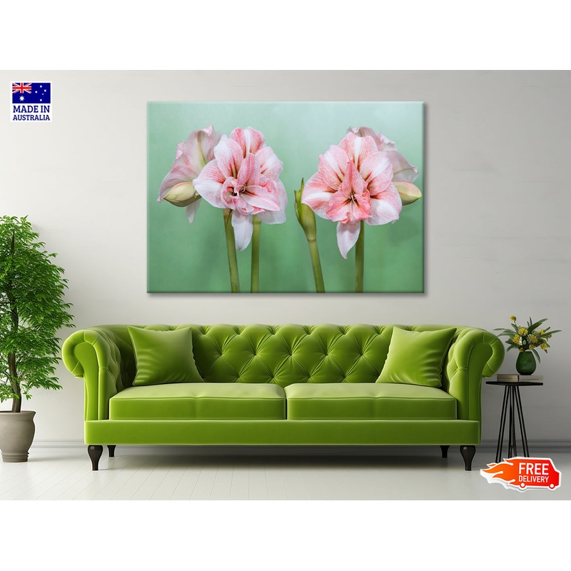 View of a Group of Pink Flowers Print 100% Australian Made
