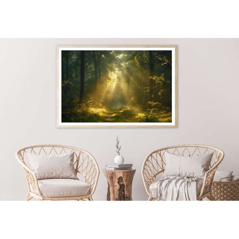 Sun Shining With Trees in a Forest Home Decor Premium Quality Poster Print Choose Your Sizes