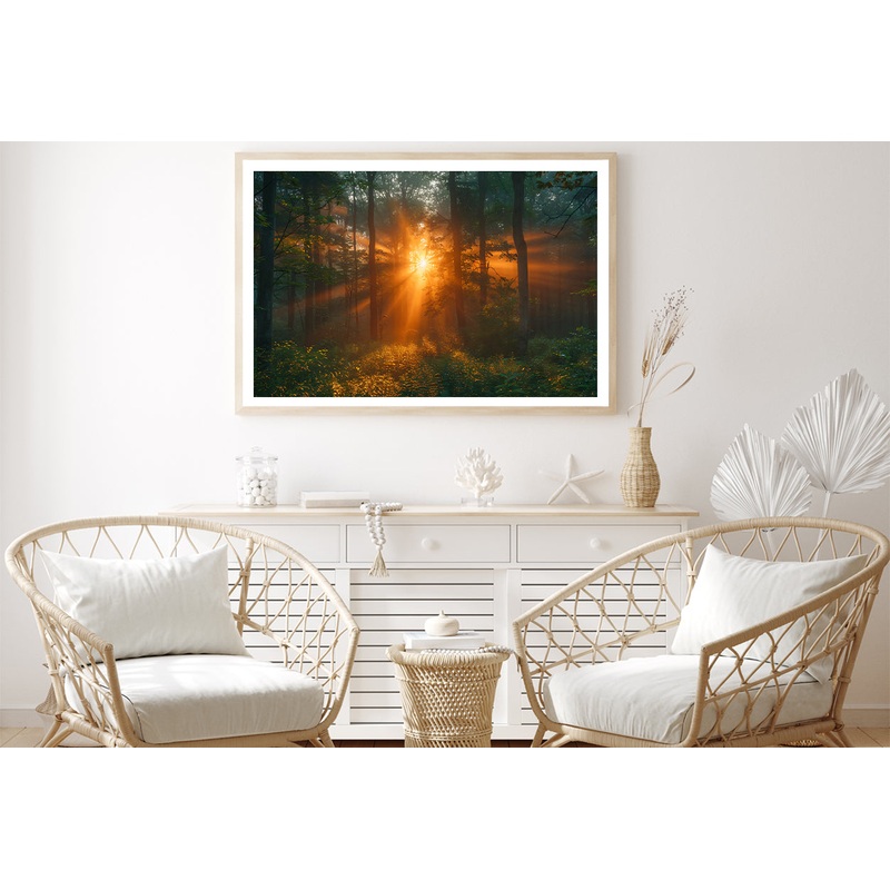 Sunlight Shining Through the Trees Home Decor Premium Quality Poster Print Choose Your Sizes