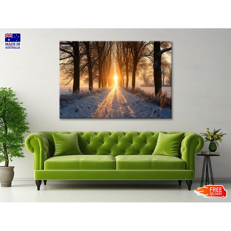 Winter with Tree Alley at Sunset Print 100% Australian Made