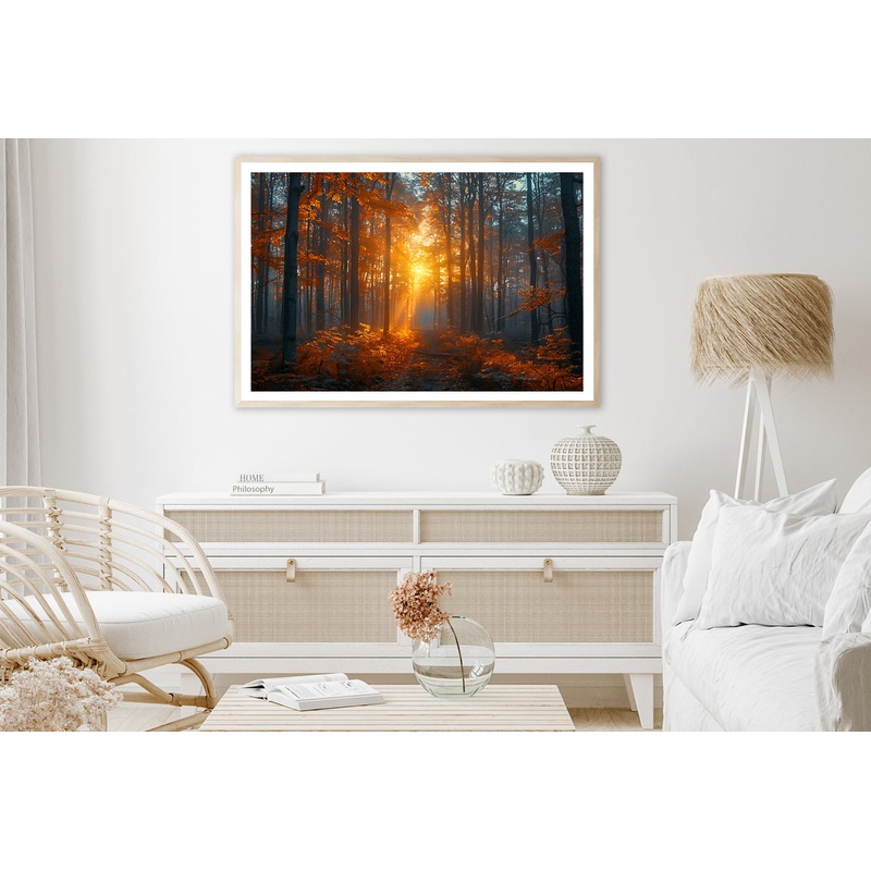 Autumn Forest in the Morning Home Decor Premium Quality Poster Print Choose Your Sizes