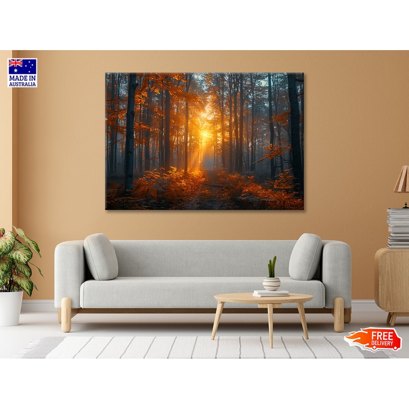 Autumn Forest in the Morning Print 100% Australian Made