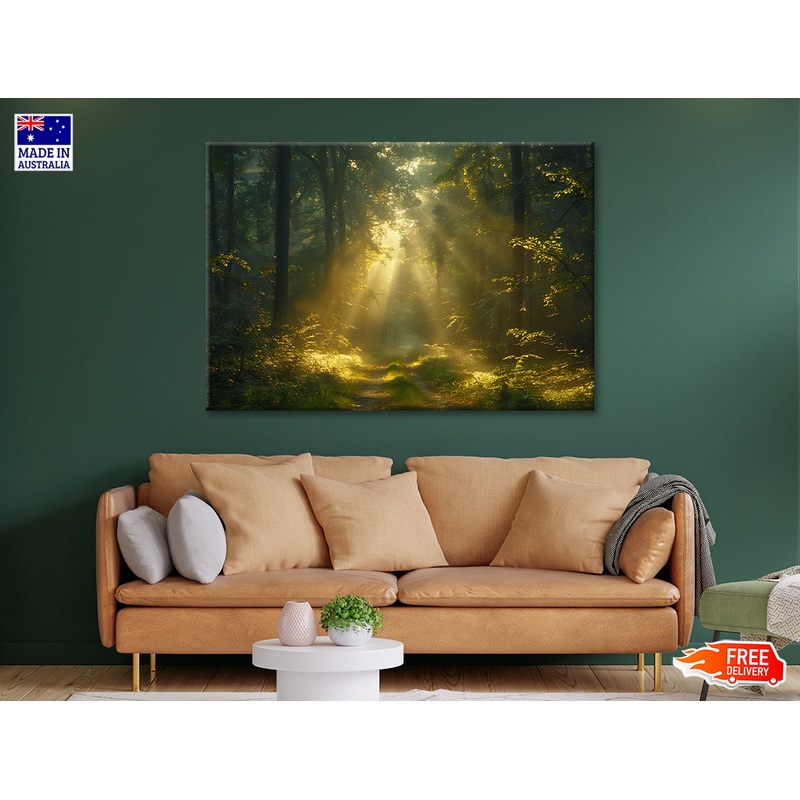 Sun Shining With Trees in a Forest Print 100% Australian Made