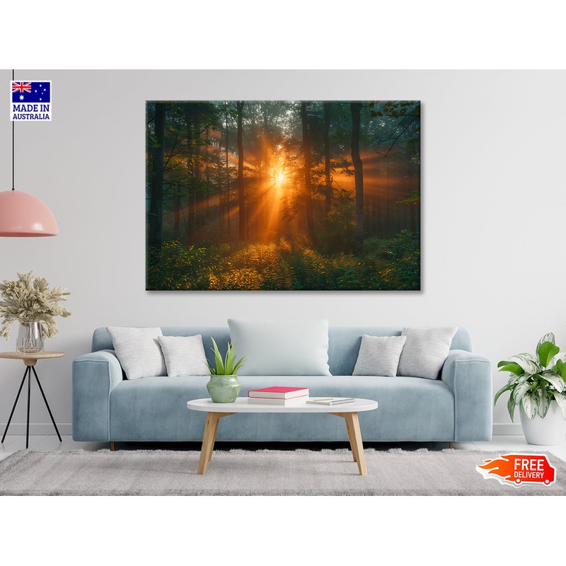 Sunlight Shining Through the Trees Print 100% Australian Made