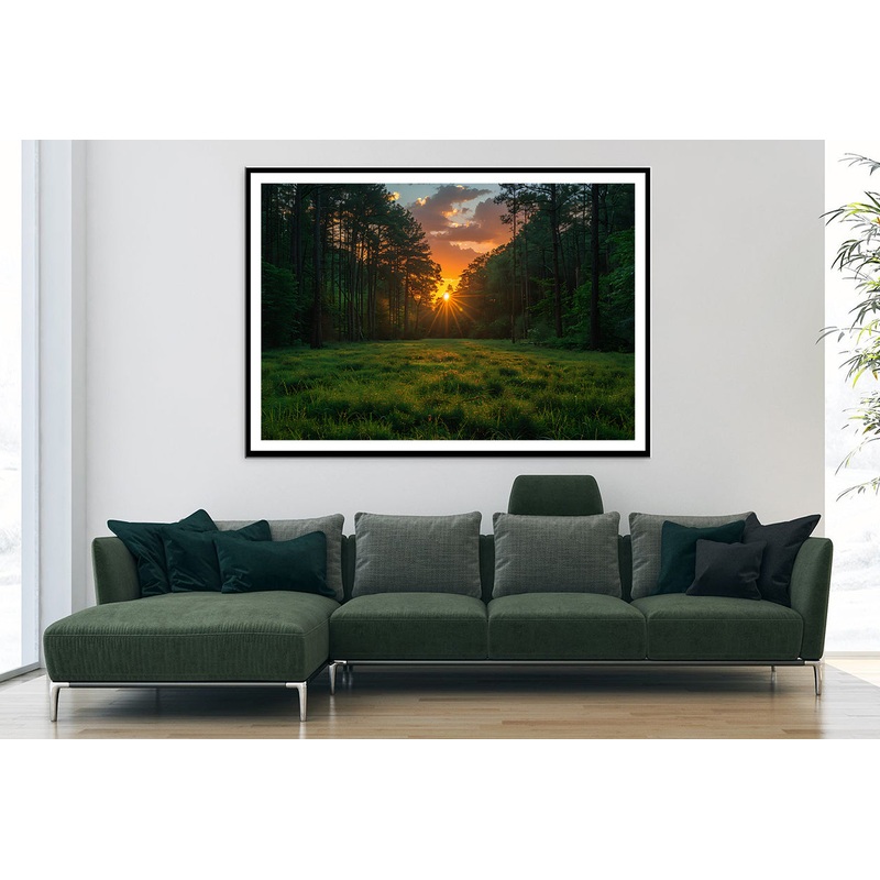 Sunrise in the Forest Home Decor Premium Quality Poster Print Choose Your Sizes