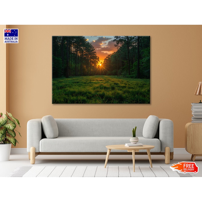 Sunrise in the Forest Print 100% Australian Made