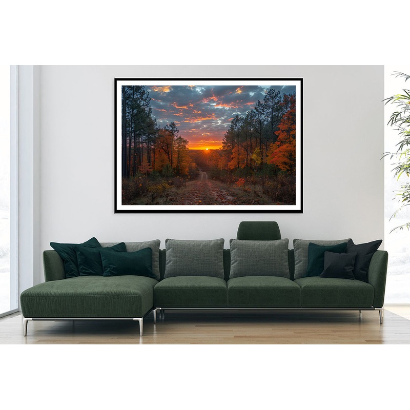 Sunrise in the Forest View Home Decor Premium Quality Poster Print Choose Your Sizes