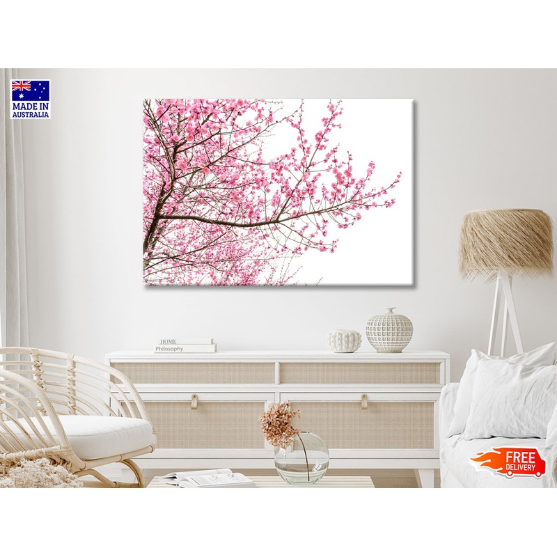 A Tree Full of Cherry Blossom Print 100% Australian Made