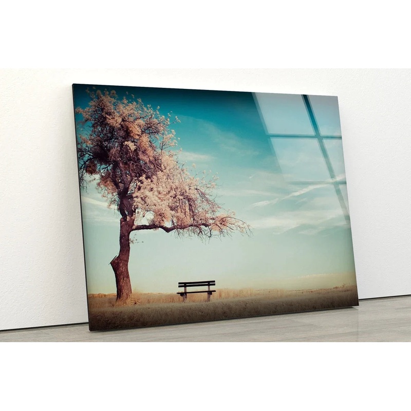 Bench Near Blossom Tree UV Direct Aluminum Print Australian Made Quality
